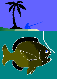 Internet Island - Be a Big Fish, Web Design that Catches Customers