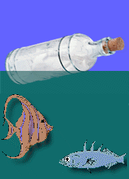 Internet Island Website Promotion - Message in a Bottle