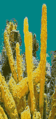 Internet Island Website Design - sea bottom pic