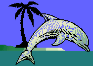 Internet Island Web Design Clients - happy dolphin pic